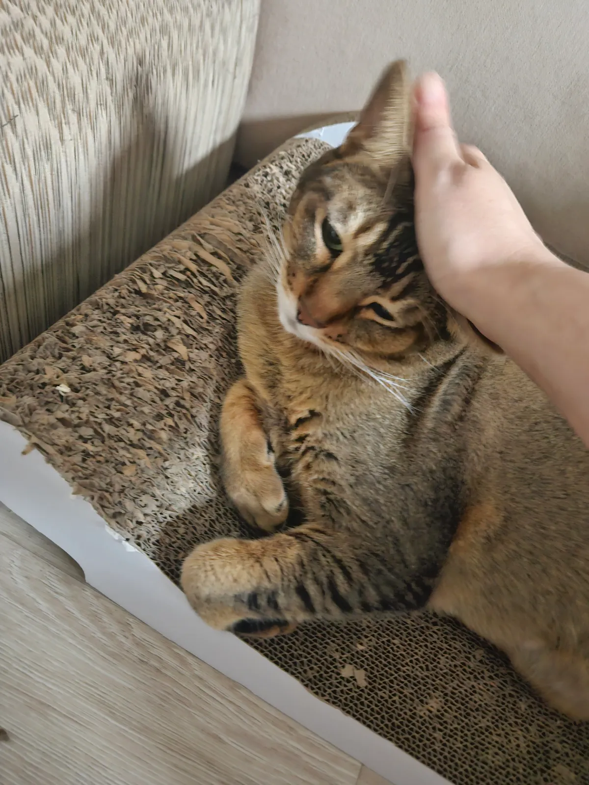 이미지 5