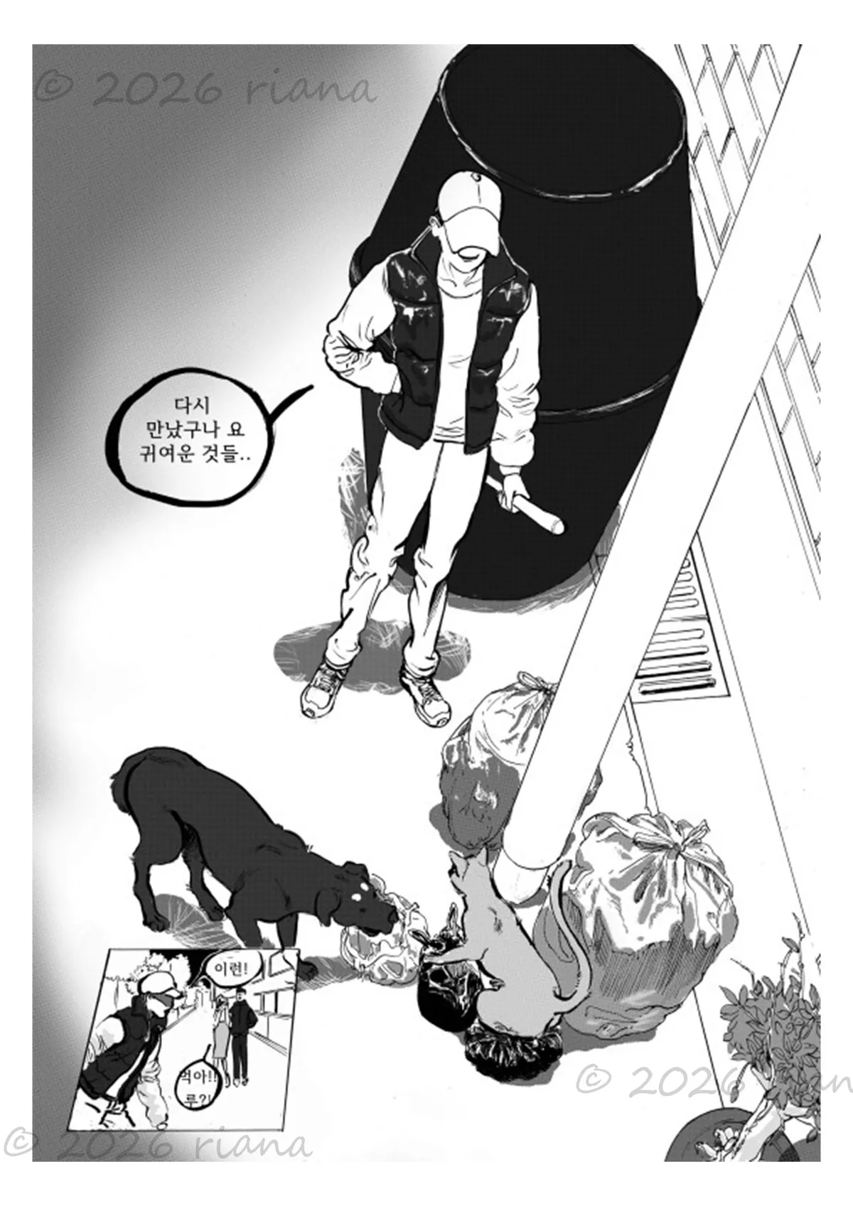 이미지 18