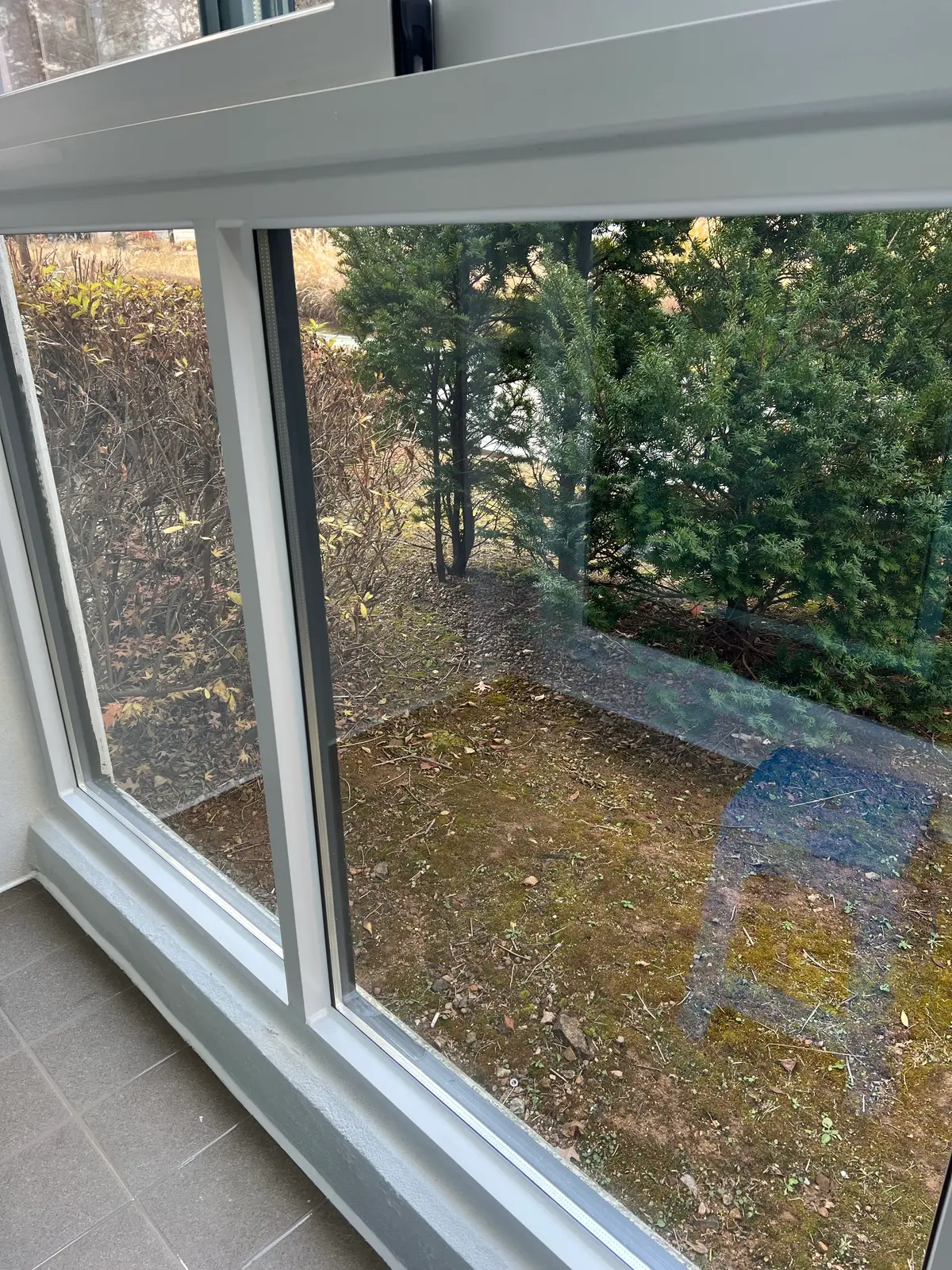 이미지 10