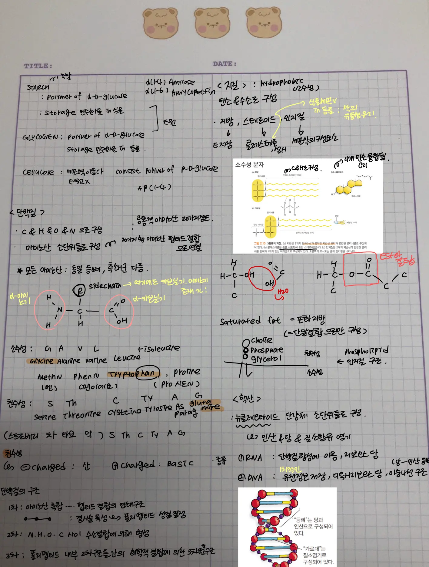 이미지 5
