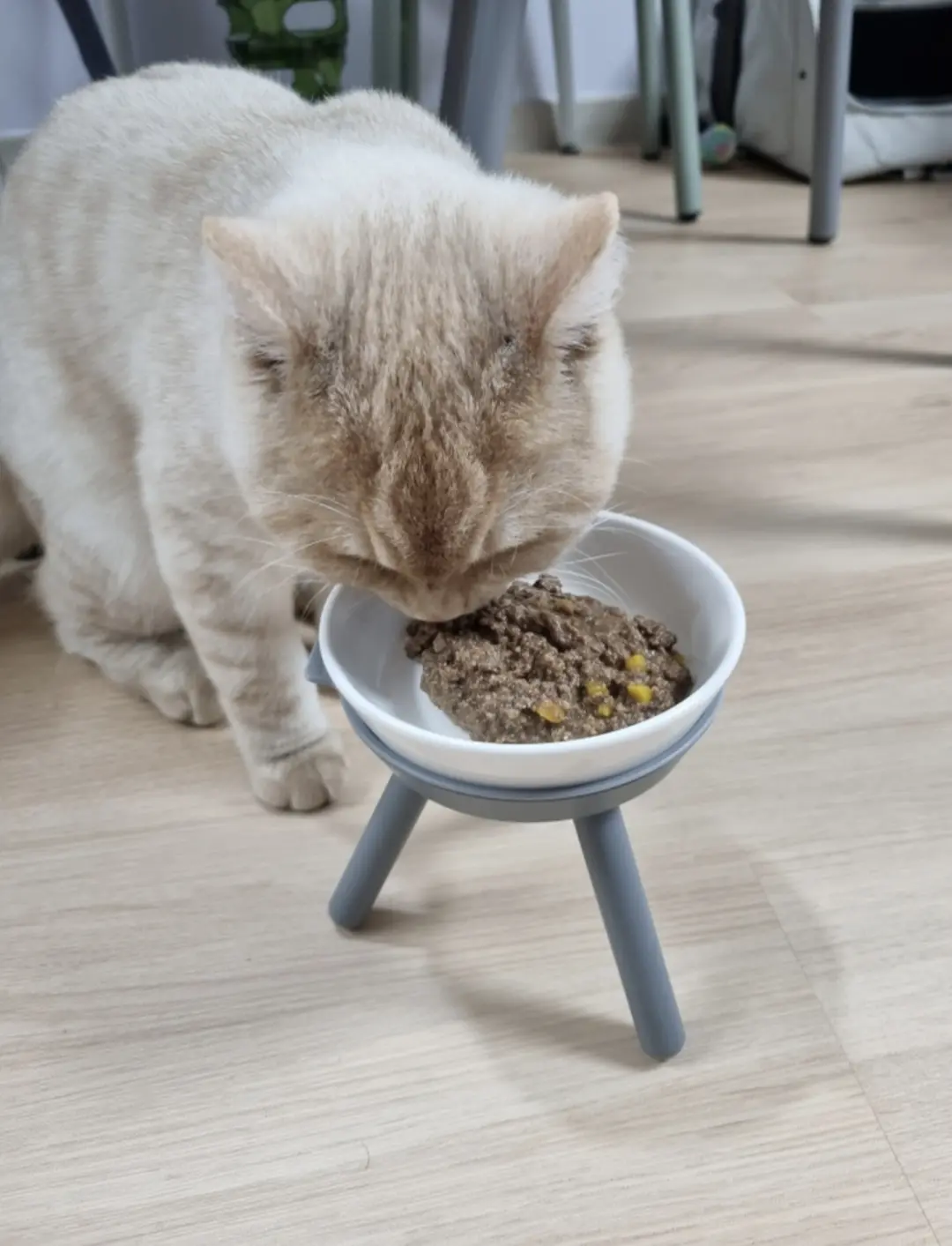 이미지 5