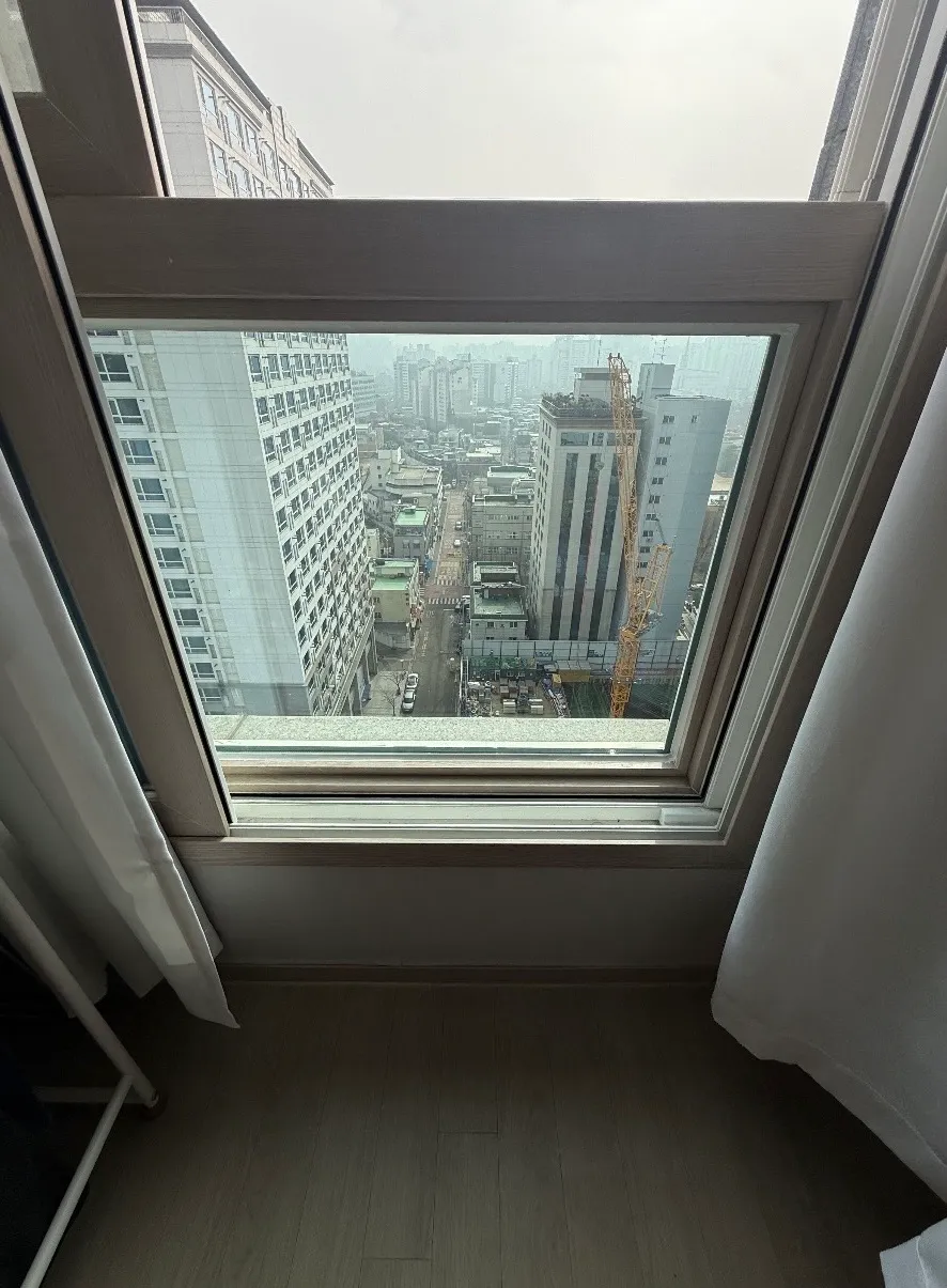 이미지 8