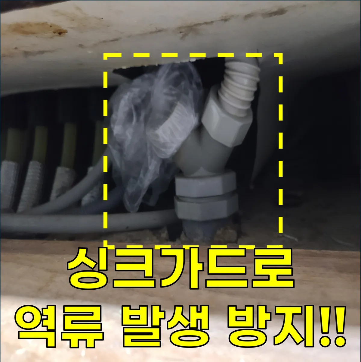 이미지 6