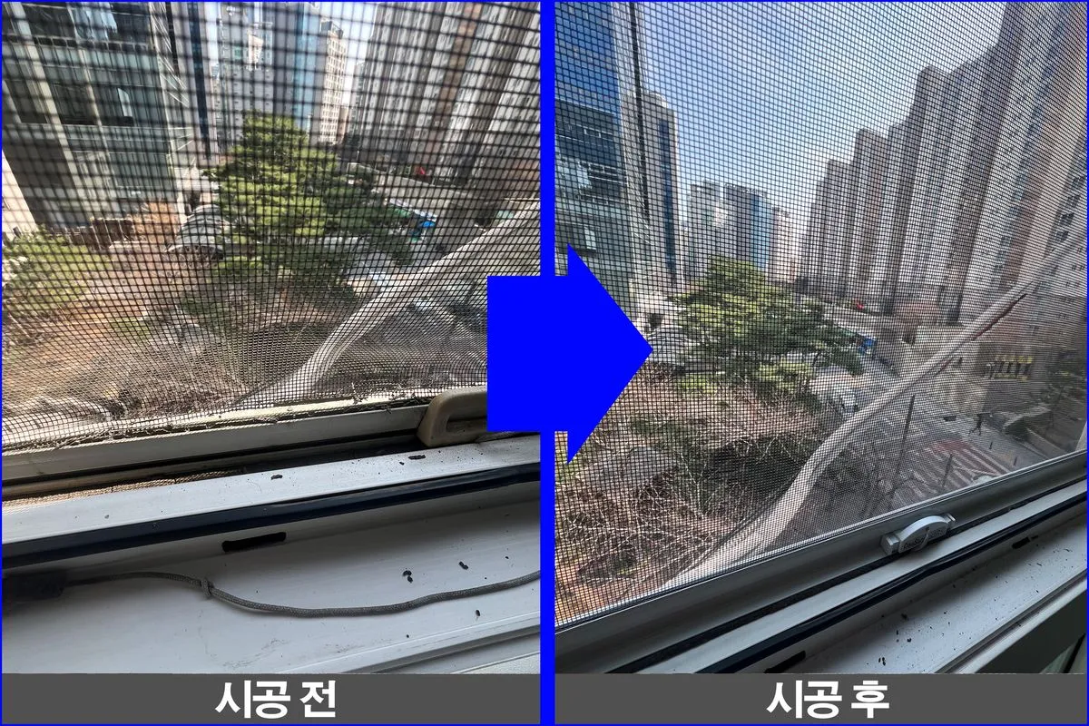 이미지 7