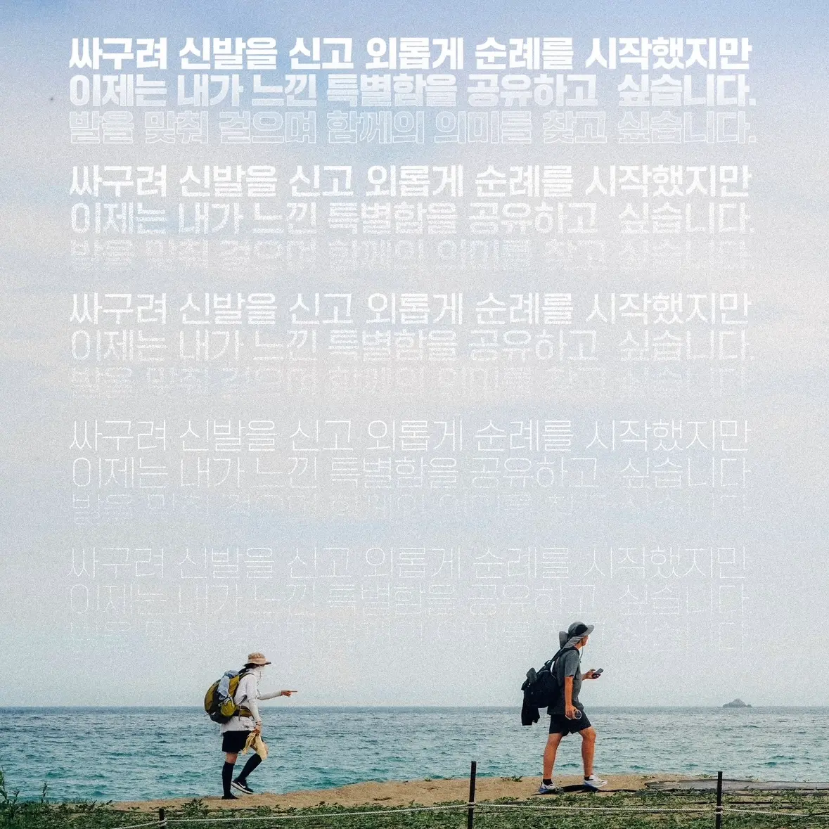 이미지 6