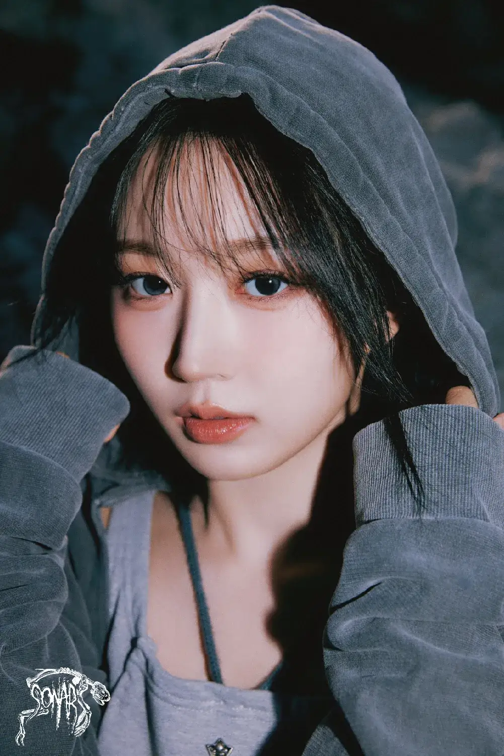 이미지 14