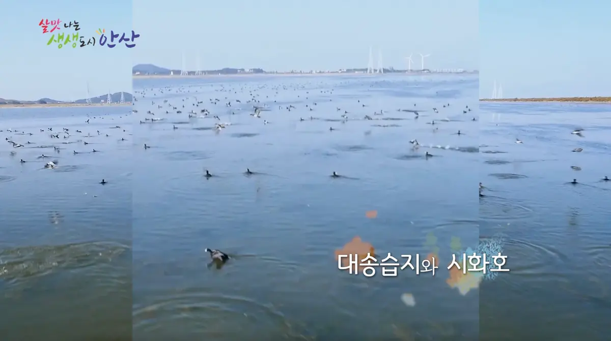 이미지 5