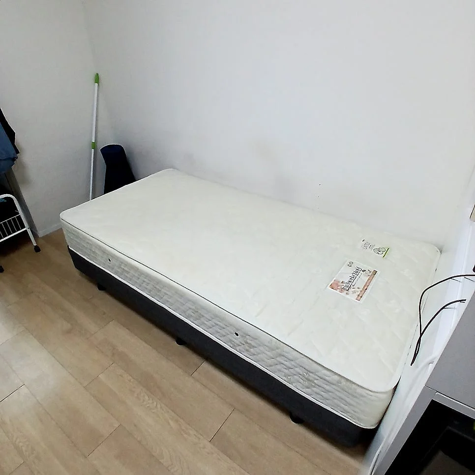 이미지 10