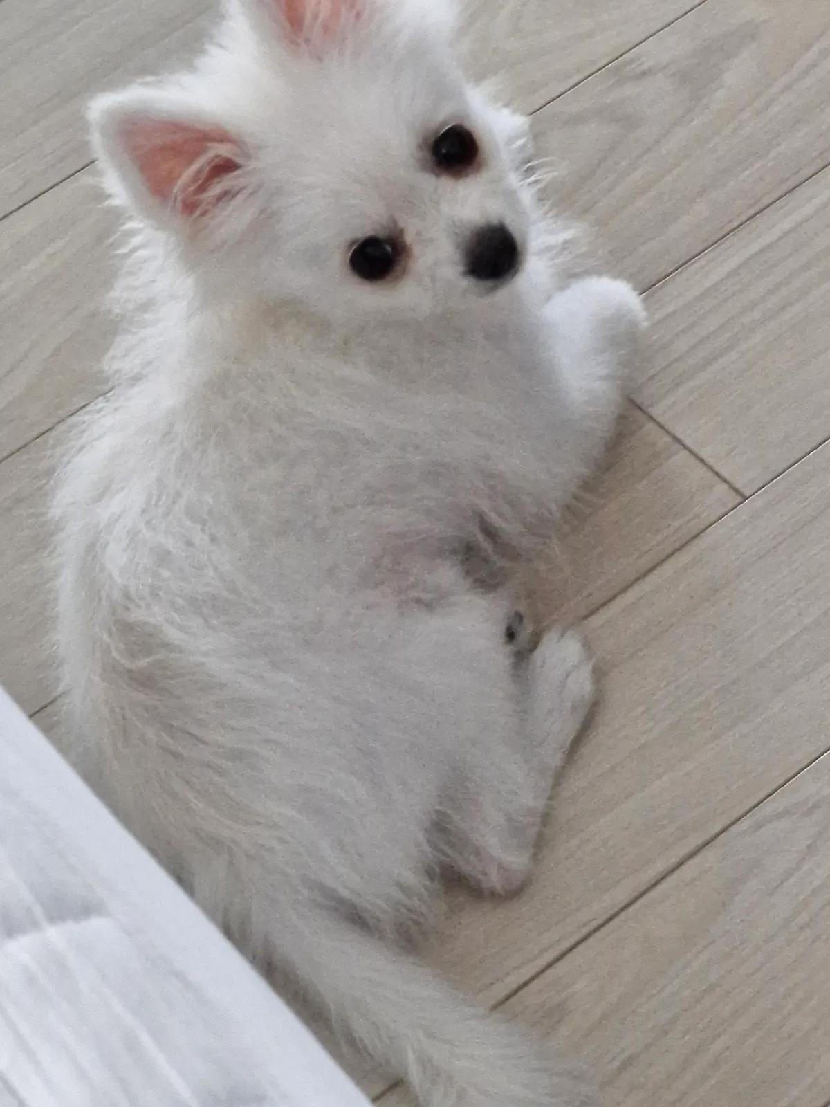 이미지 4