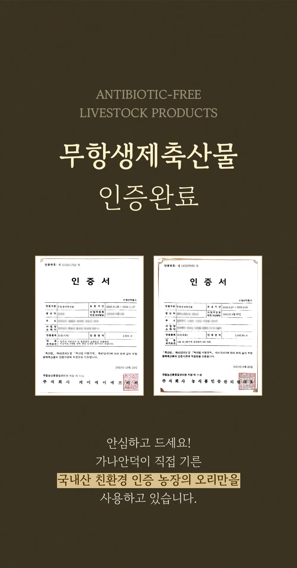이미지 7