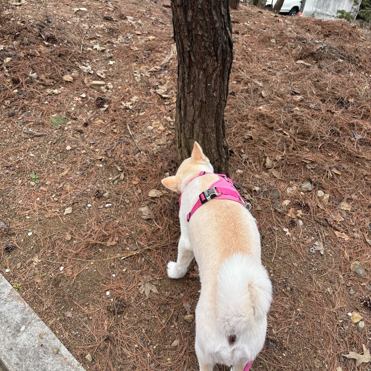 이미지 3