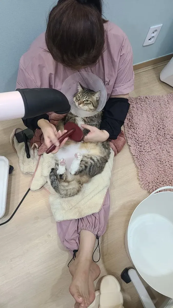이미지 4