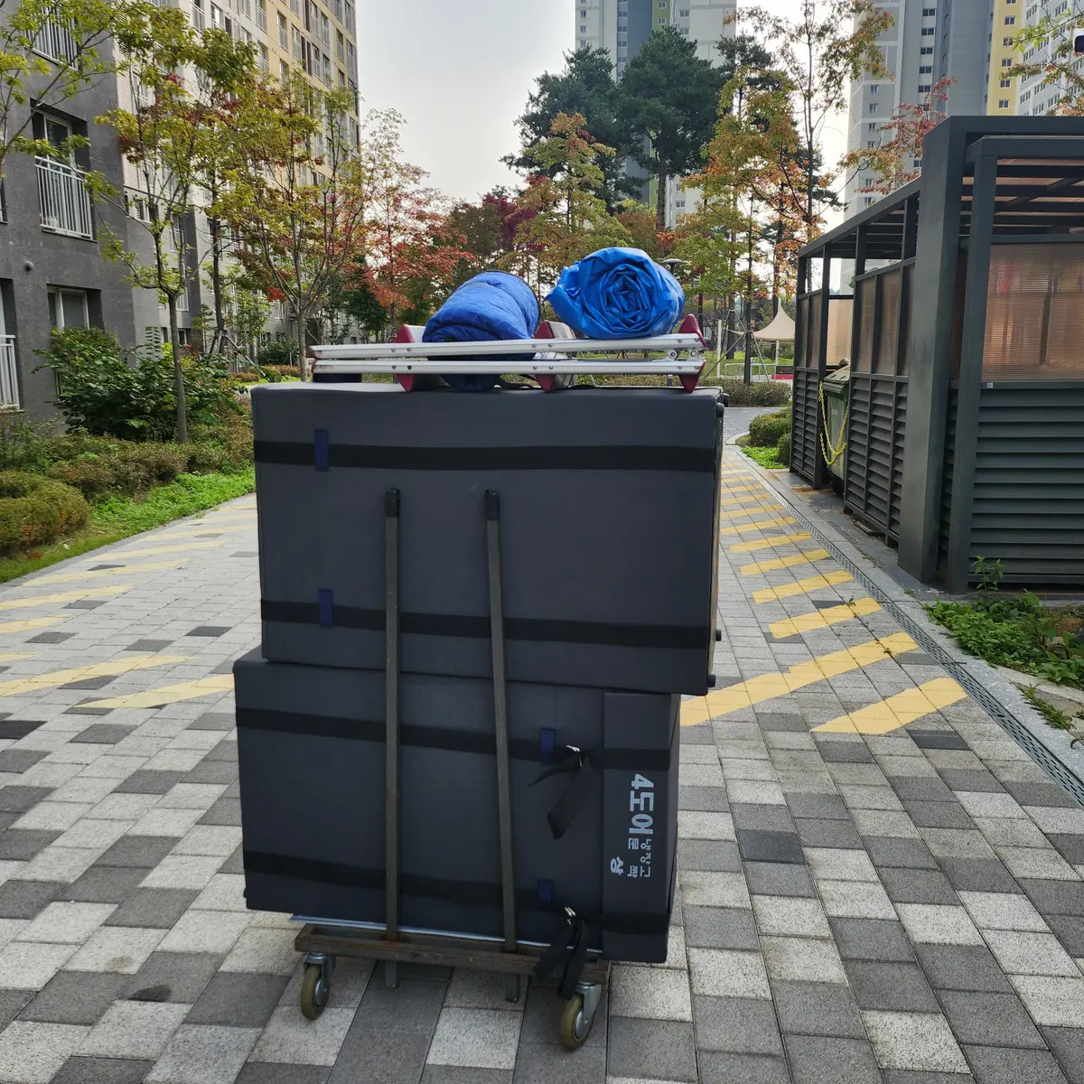 이미지 7