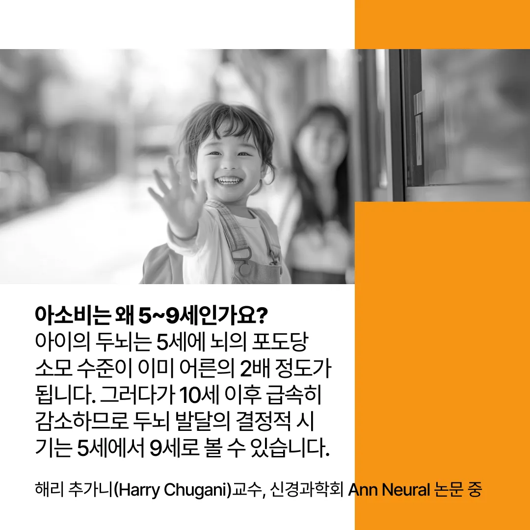 이미지 6