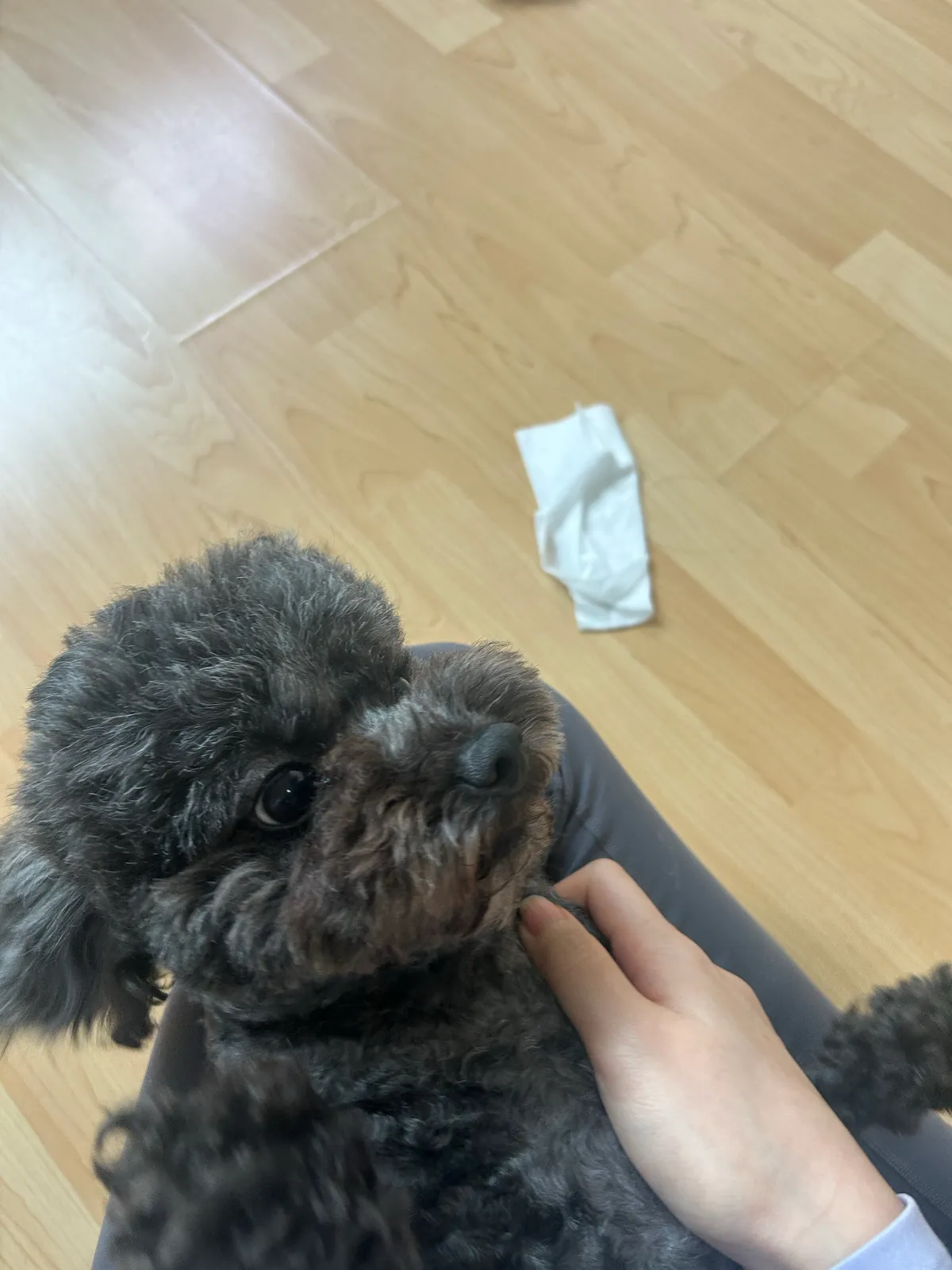 이미지 4