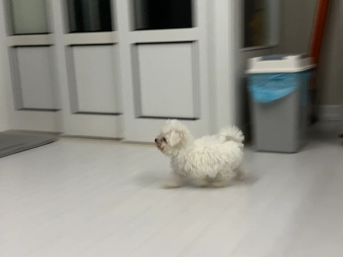 이미지 7