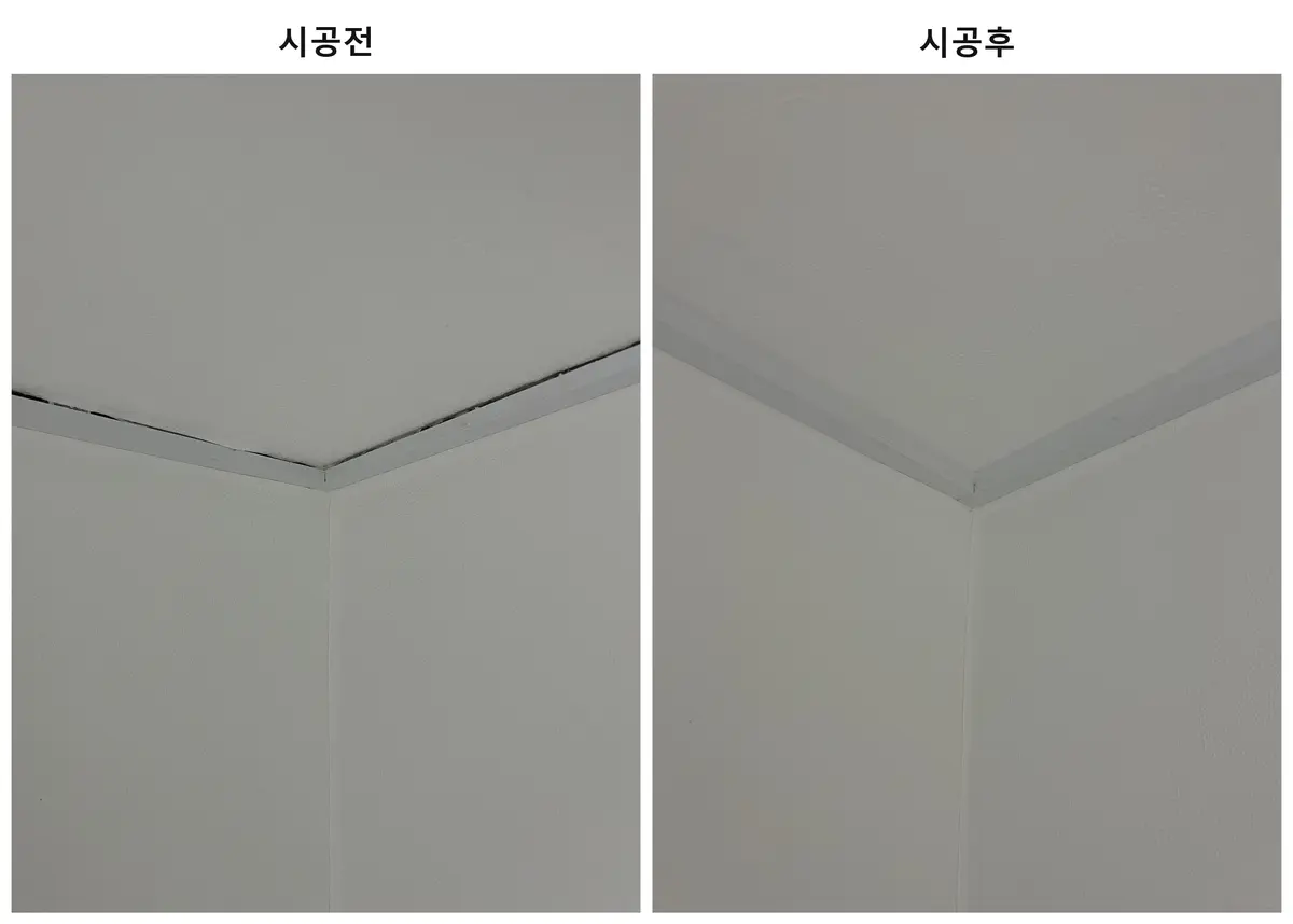 이미지 4