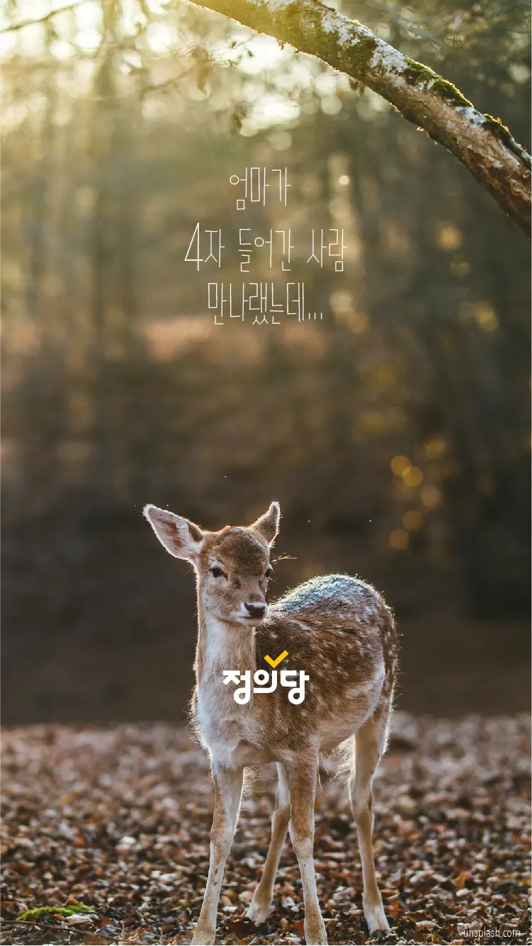 이미지 9