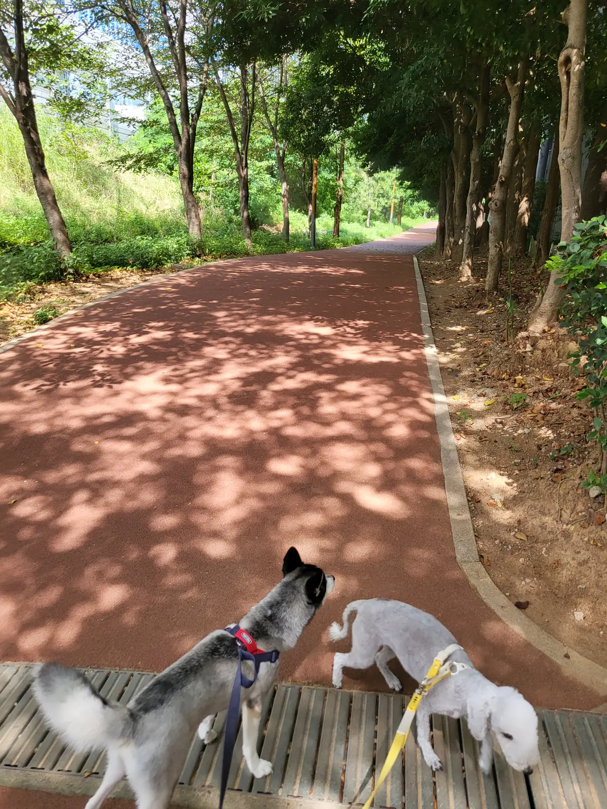 이미지 6