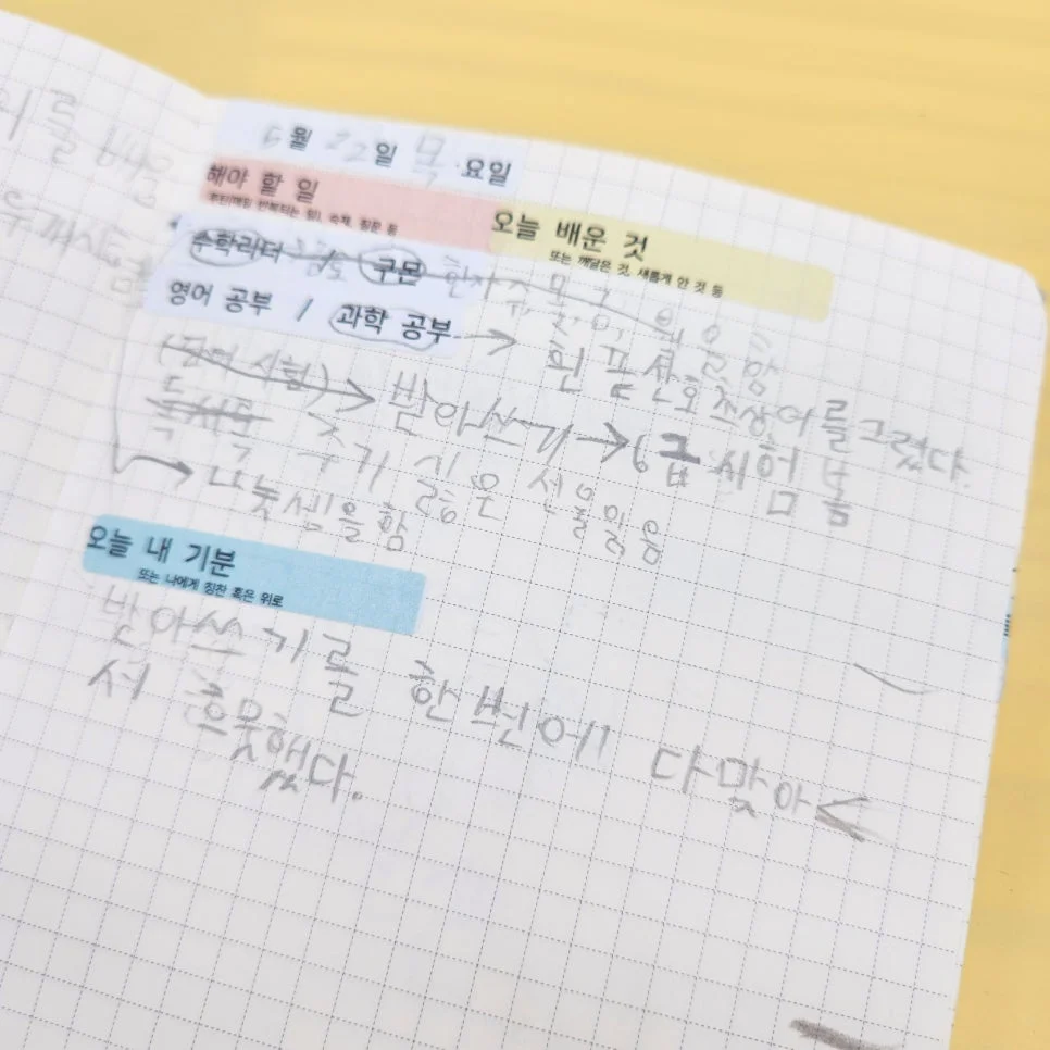 이미지 6