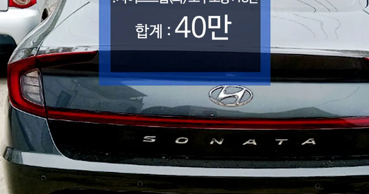 소나타(2판) : 뒤도어 22만, 사이드스탭 18만 / BM모터스 - 숨고, 숨은고수 소나타(2판) : 뒤도어 22만, 사이드스탭 18만