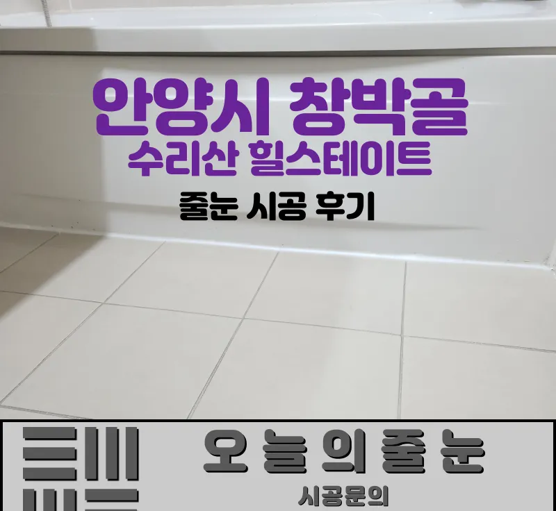 포트폴리오 이미지