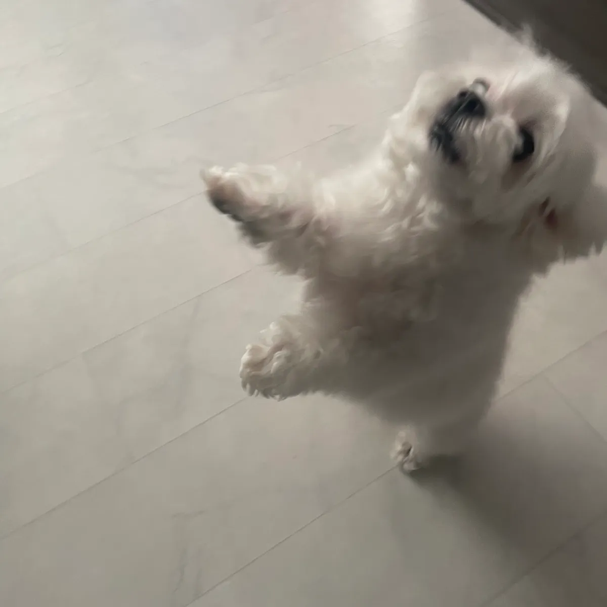 이미지 9