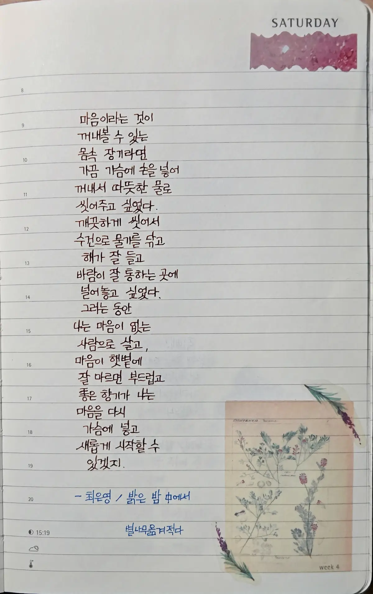 이미지 18