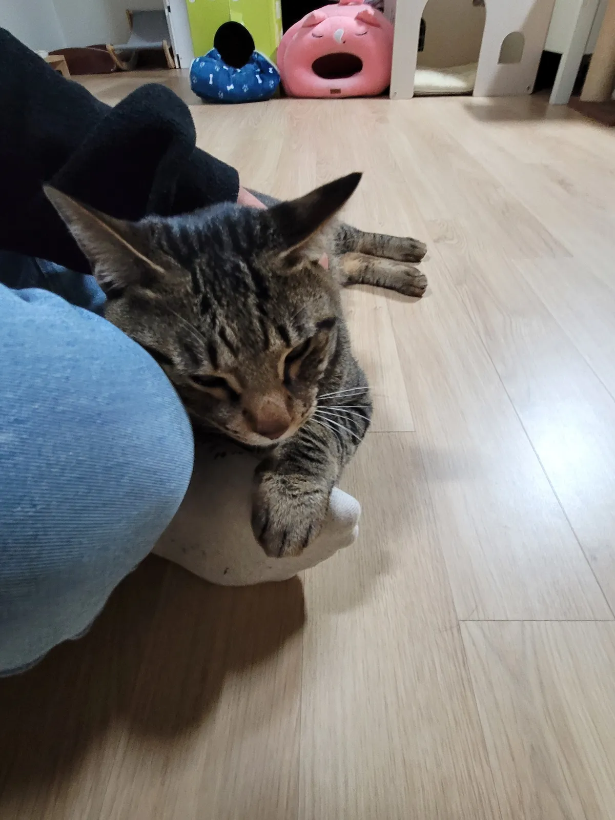 이미지 7