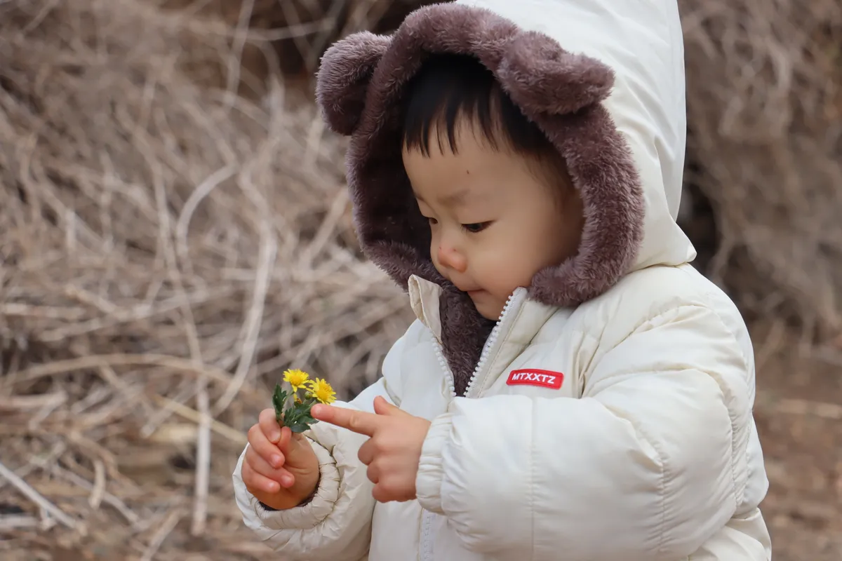 이미지 8