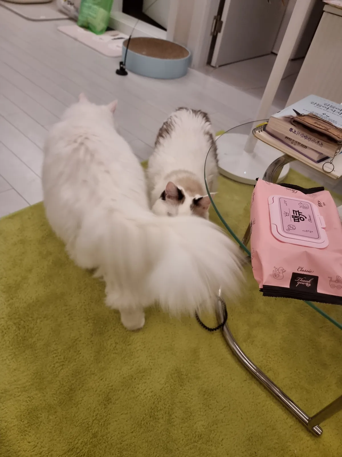 이미지 8