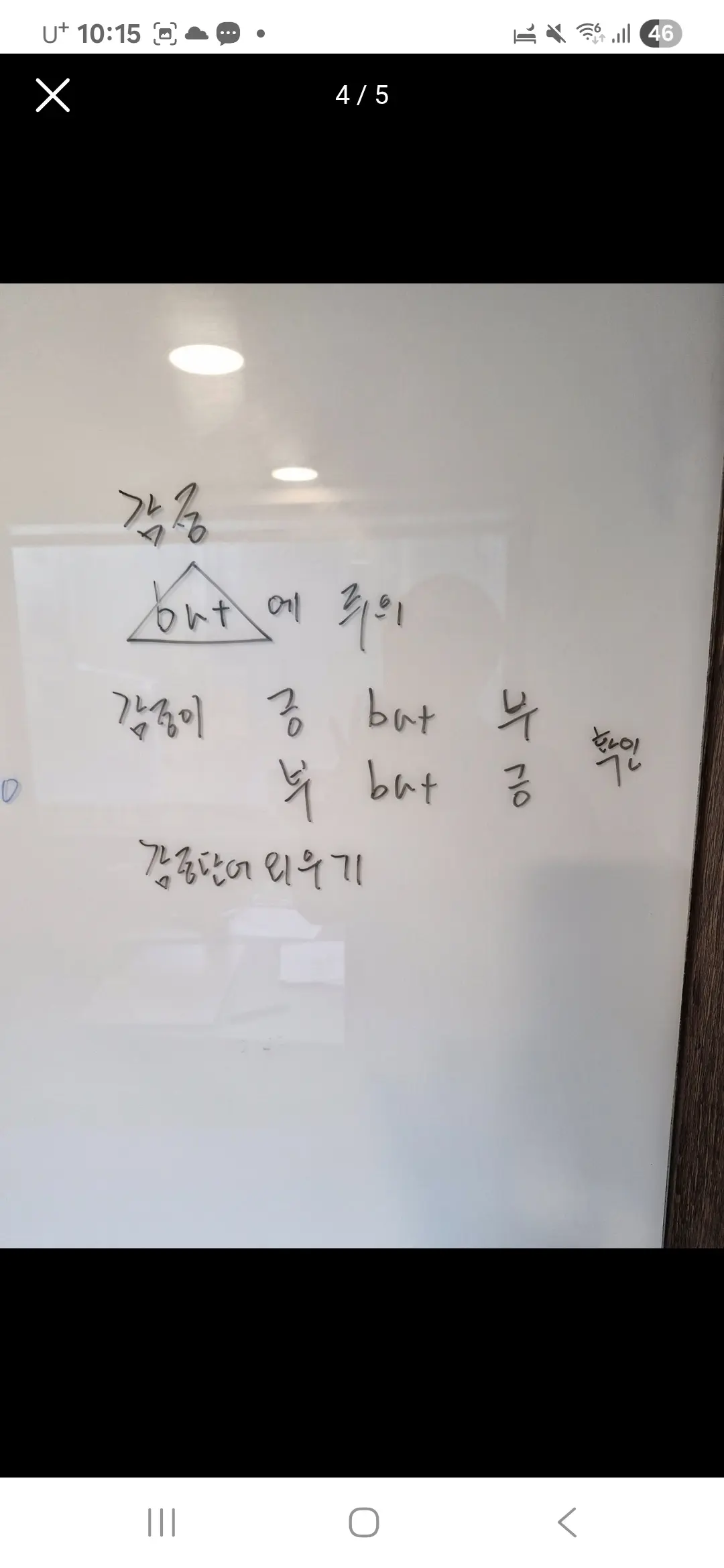 이미지 14