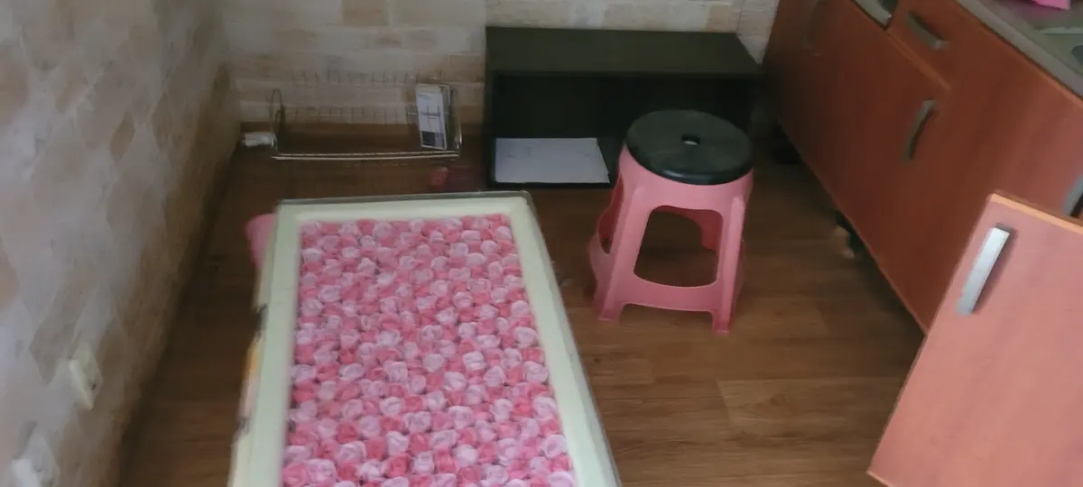 이미지 10