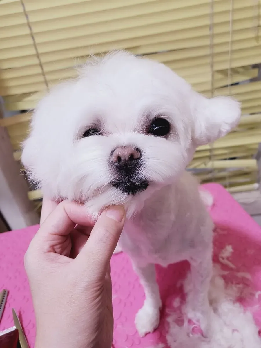 이미지 6