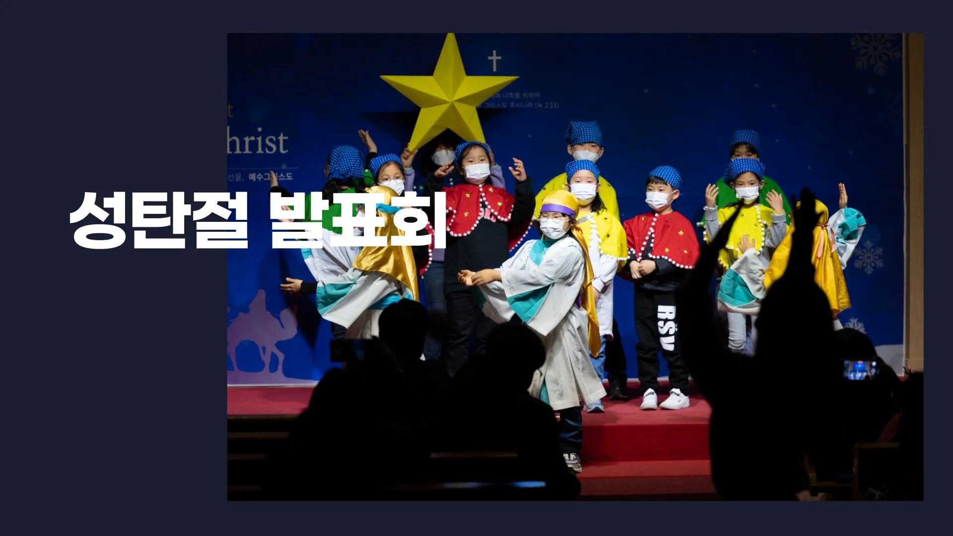 이미지 11