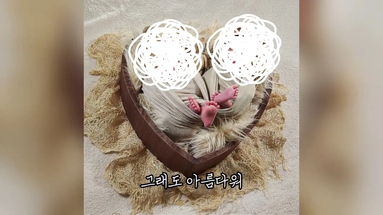 이미지 6