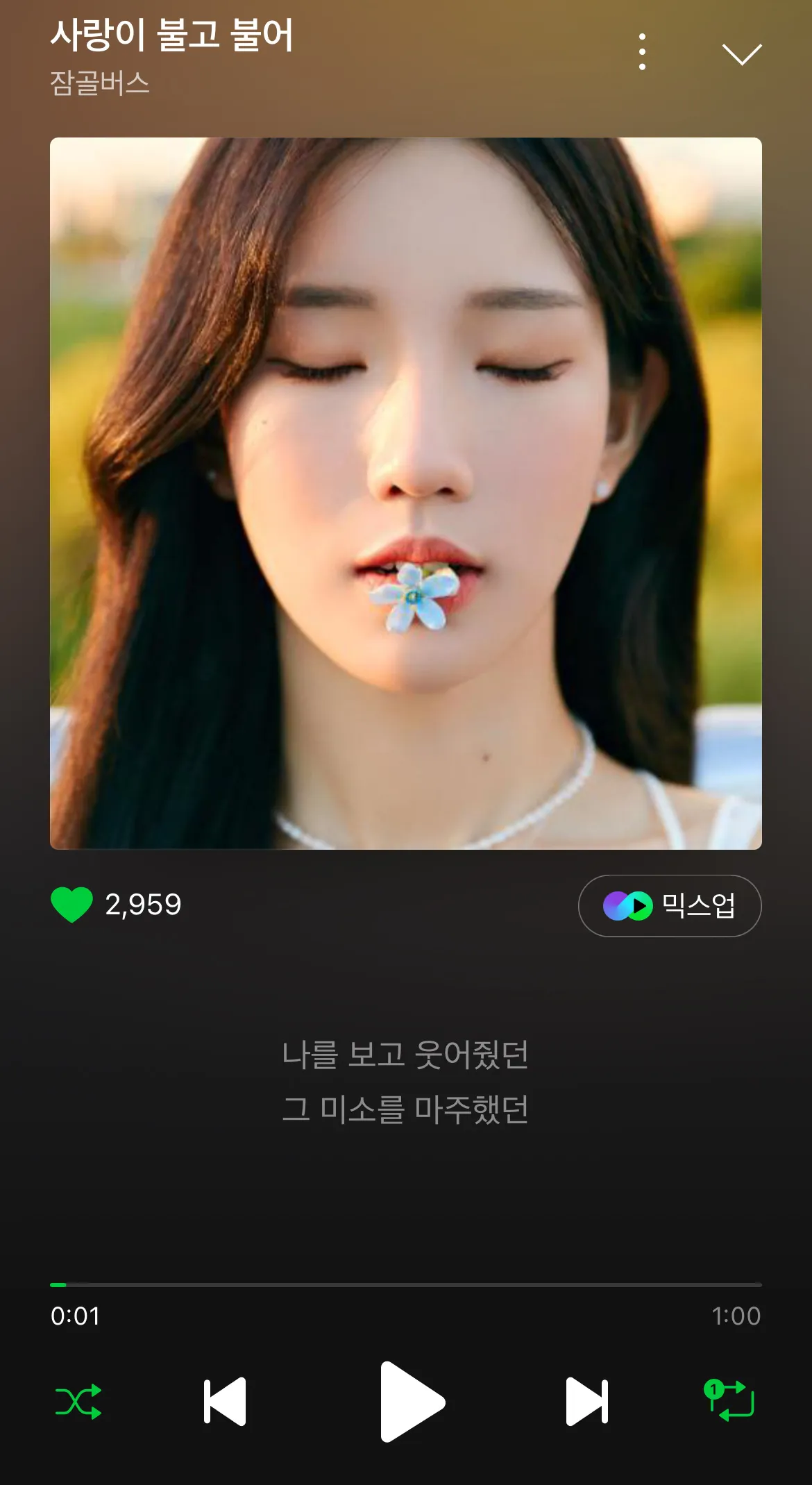이미지 5