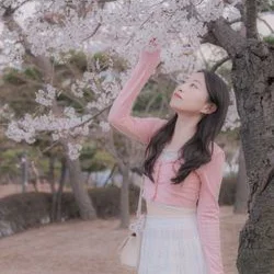 벚꽃 스냅사진