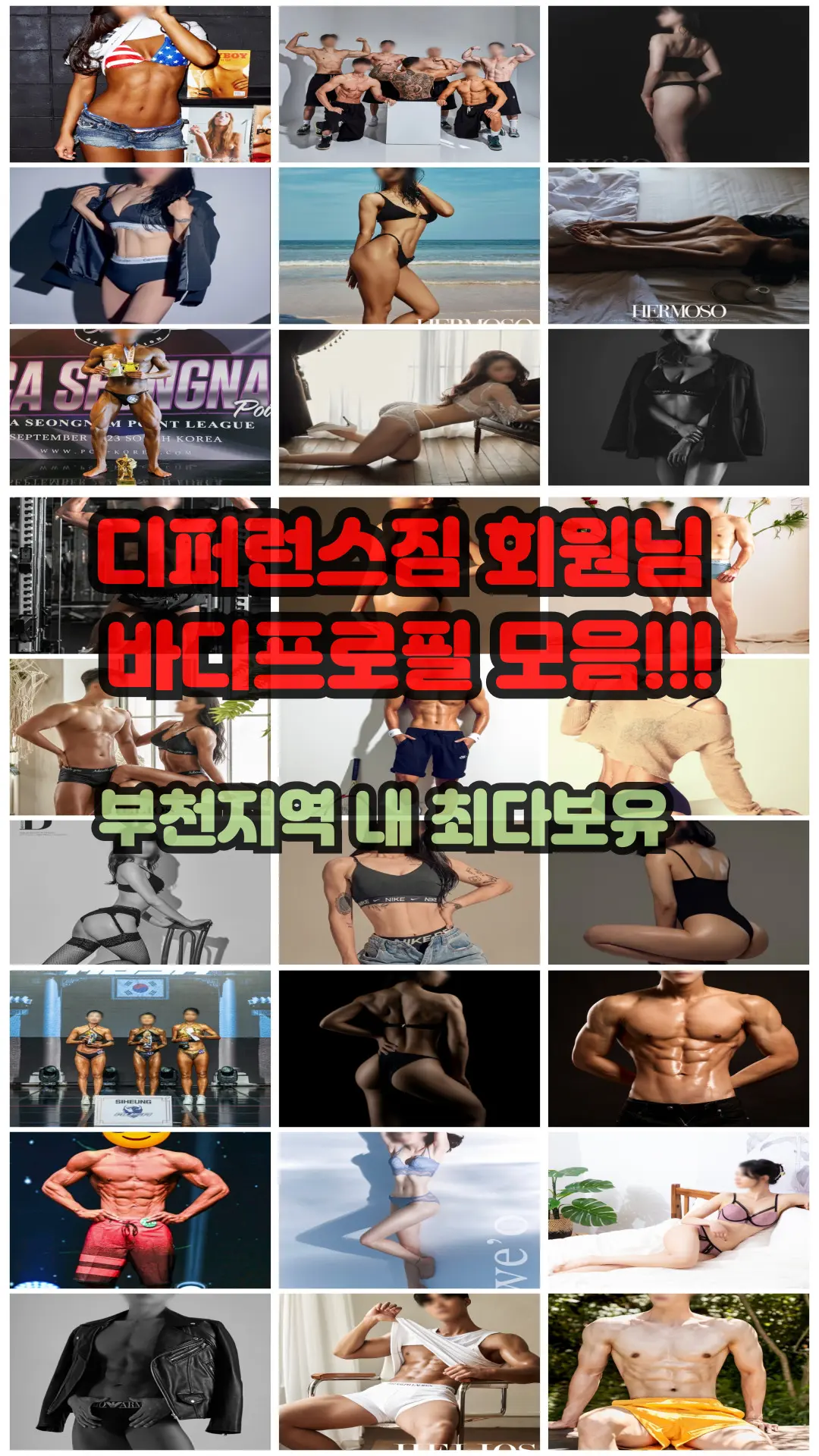 이미지 14