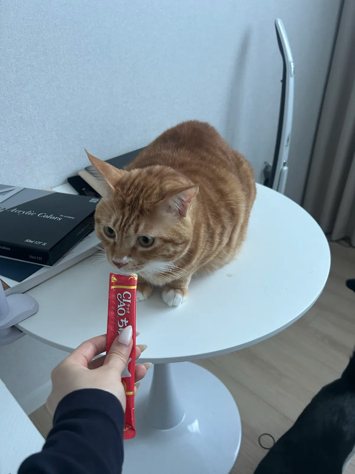 이미지 8