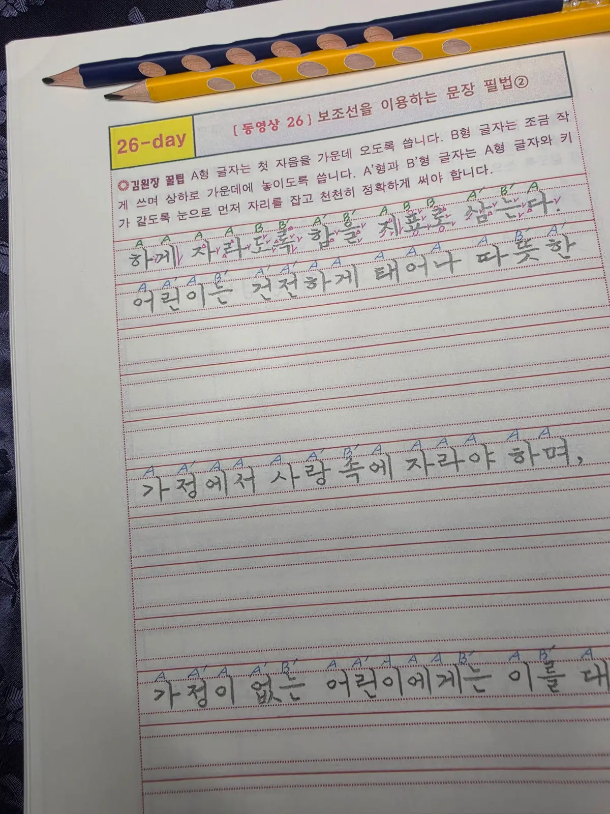 이미지 6