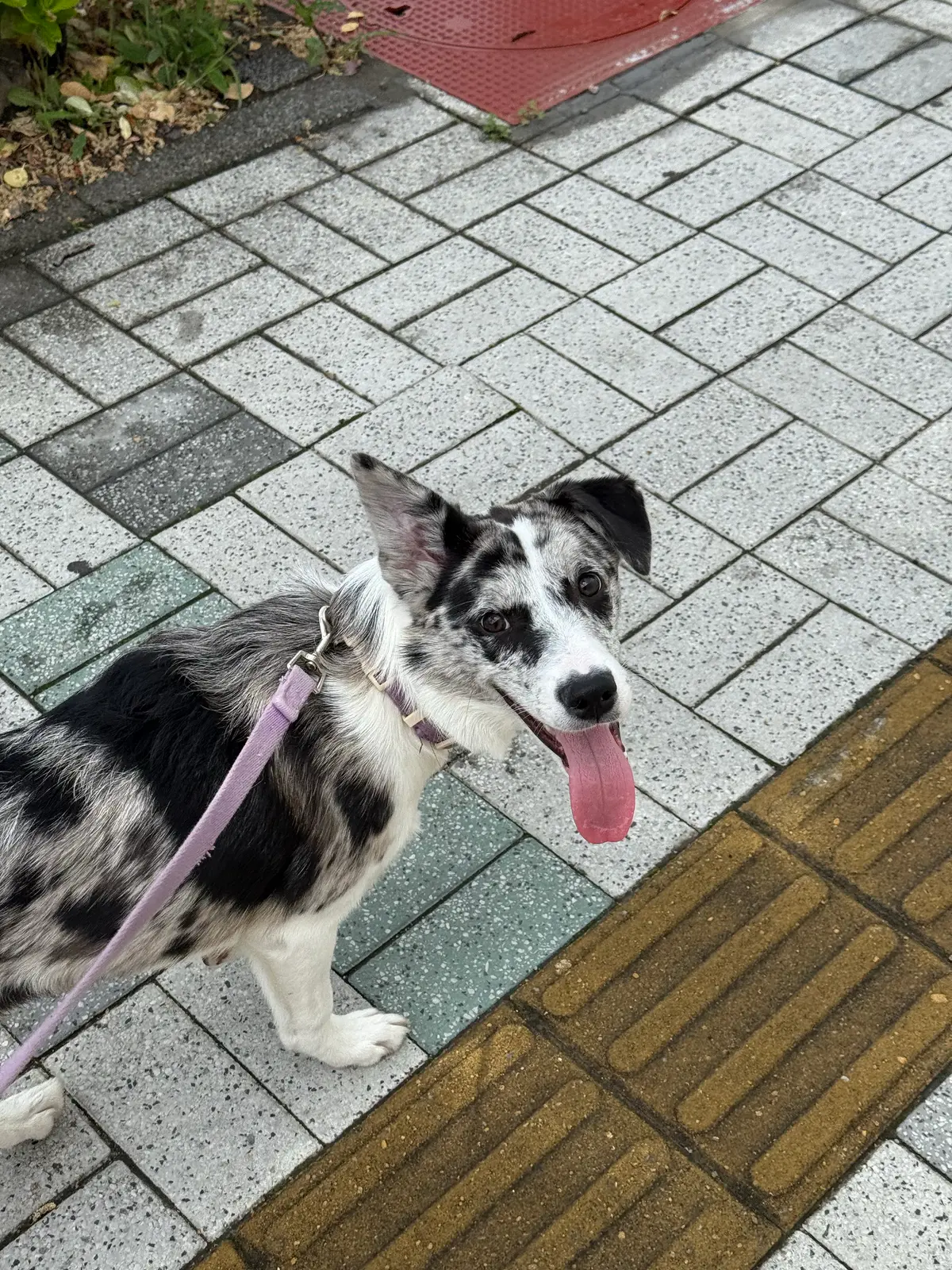 이미지 6