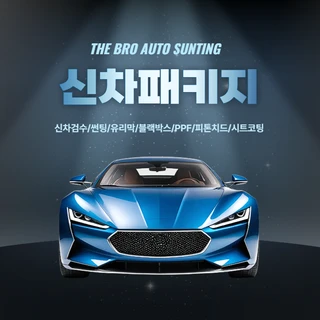 팰리세이드,신차패키지,레인보우 VS200