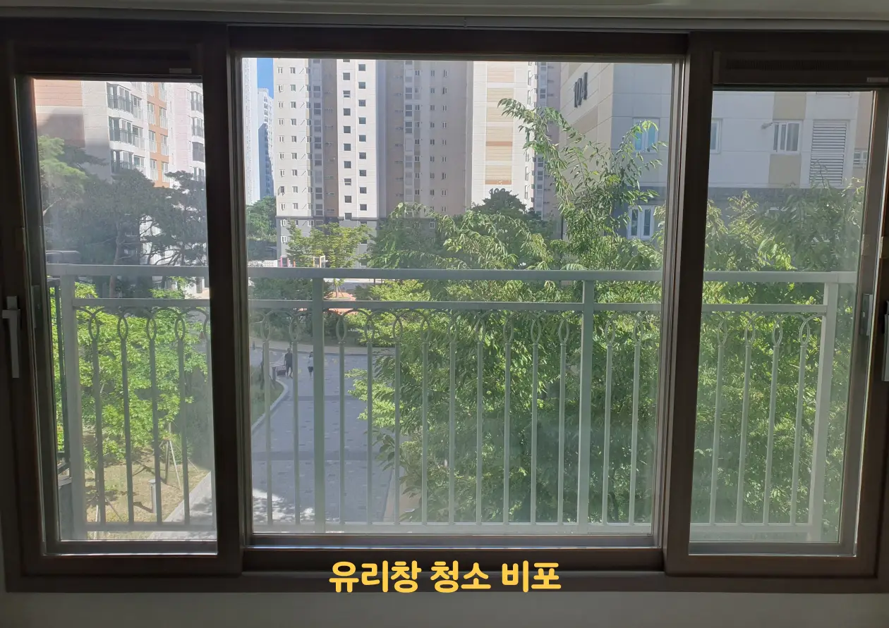 이미지 10