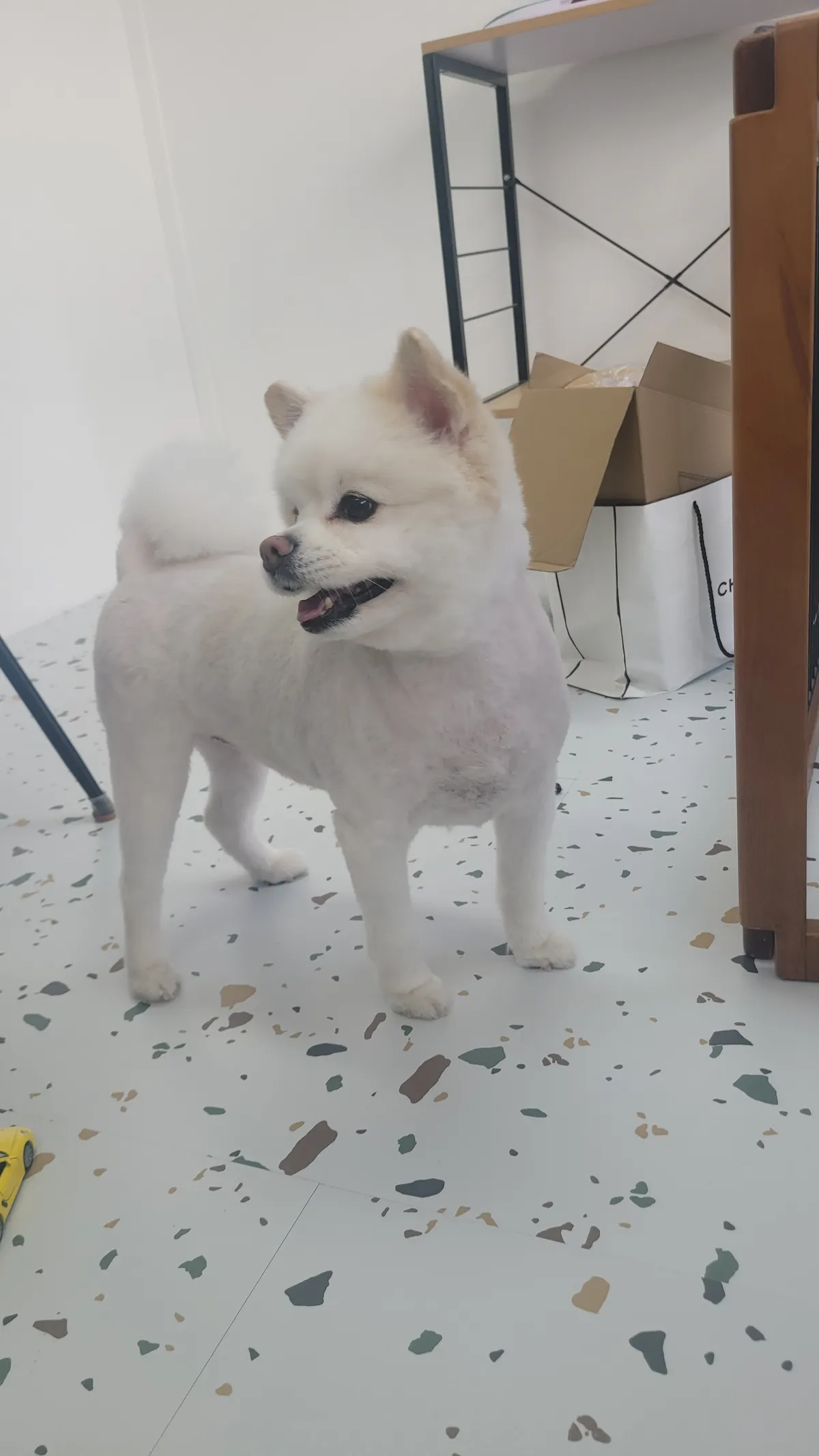 이미지 26
