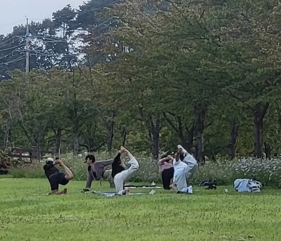 이미지 10
