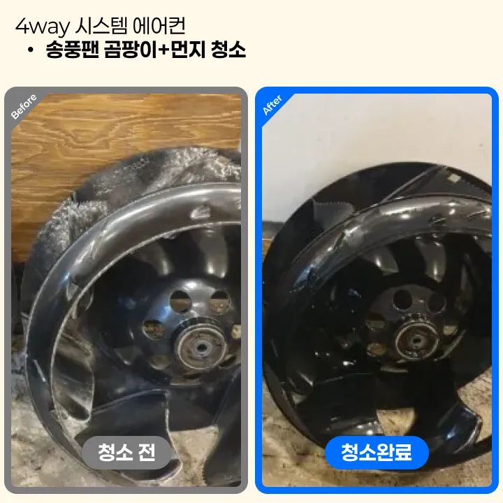 이미지 6