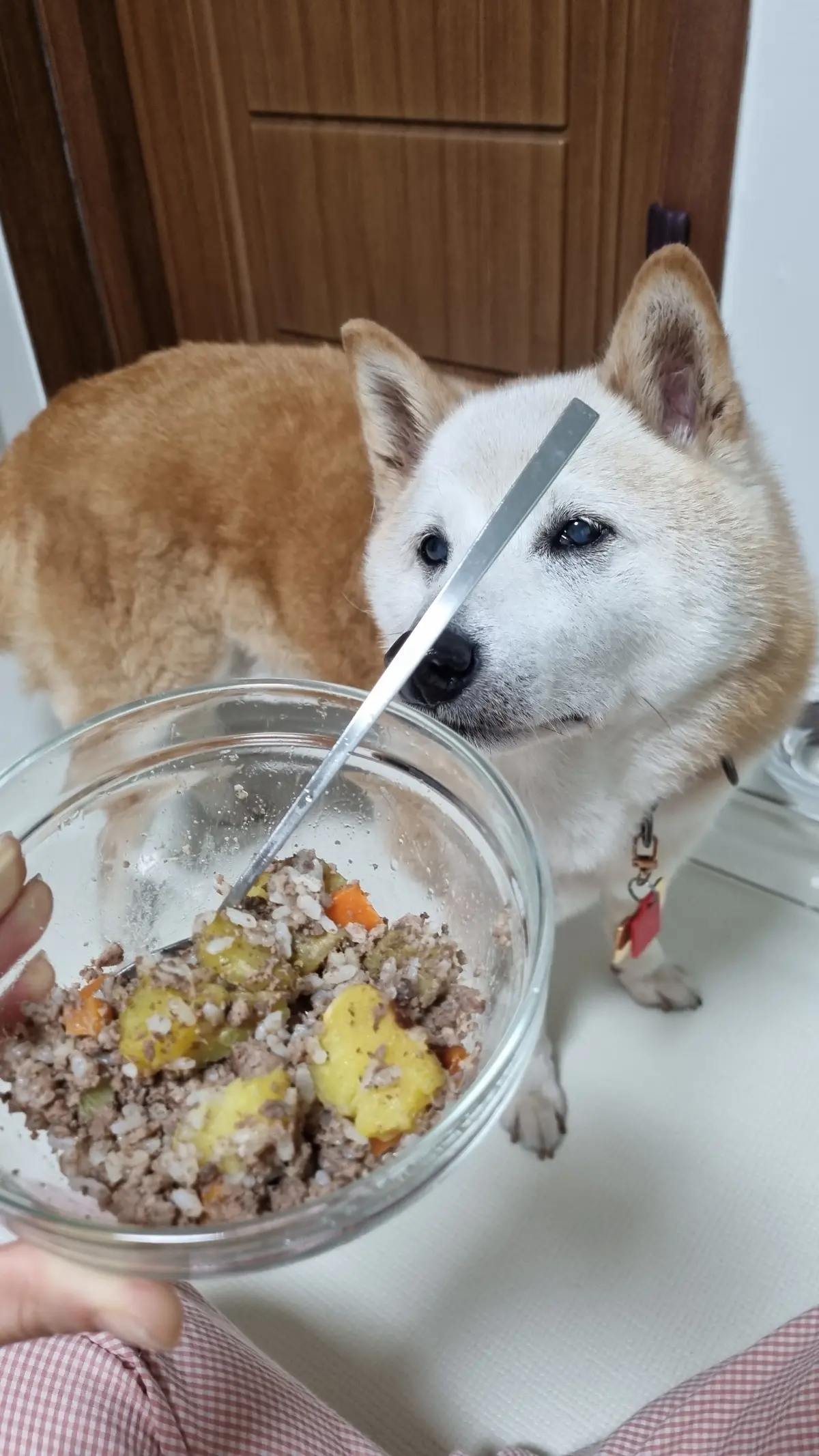 이미지 3