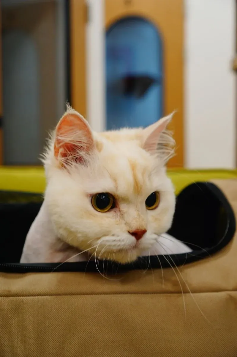 이미지 11