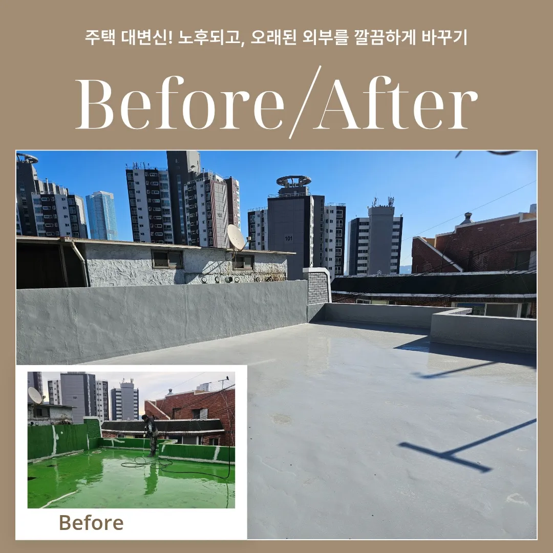 이미지 14